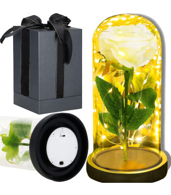 Springos® LED Lempa
