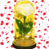 Springos® LED Lempa