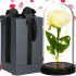 Springos® LED Lempa