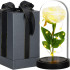 Springos® LED Lempa