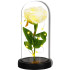 Springos® LED Lempa