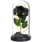 Amžina rožė stiklinėje Springos HA7442