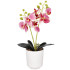 Dirbtinė orchidėja