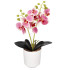 Dirbtinė orchidėja