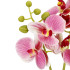 Dirbtinė orchidėja