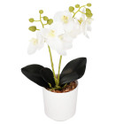 Dirbtinė orchidėja Springos HA7423