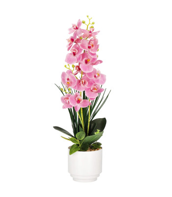 Dirbtinė orchidėja žaliai balta rožinė