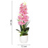 Dirbtinė orchidėja žaliai balta rožinė
