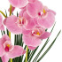 Dirbtinė orchidėja žaliai balta rožinė