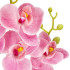Dirbtinė orchidėja žaliai balta rožinė
