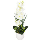 Dirbtinė dekoratyvinė gėlė Springos HA7425