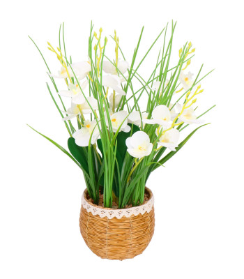 Mėgstama dirbtinė orchidėja