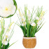Mėgstama dirbtinė orchidėja