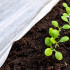 Žiemos agrotekstilė Springos AG0019