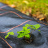 Agrotekstilė nuo piktžolių Springos AG0033