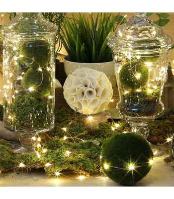 Mikrolampas su 10 LED diodais