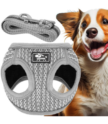 Suaugusiųjų ir šunų pavadėlio rinkinys Springos PA0235, XS iki 5,5 kg + 150 cm pavadėlis, pilkas