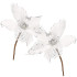 Kalėdinė dekoracija „Poinsettia“ Springos CA0799, 24×15 cm