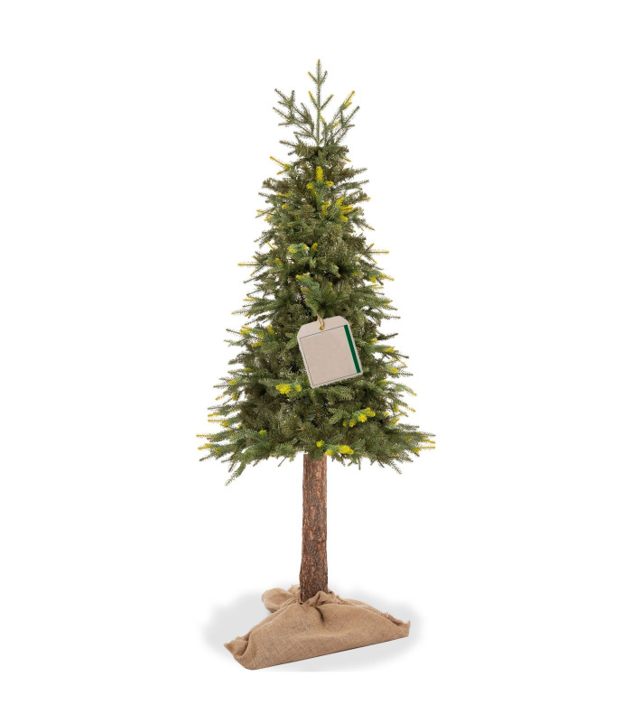 Dirbtinė eglutė su kamienu Springos CT0200, 220 cm.
