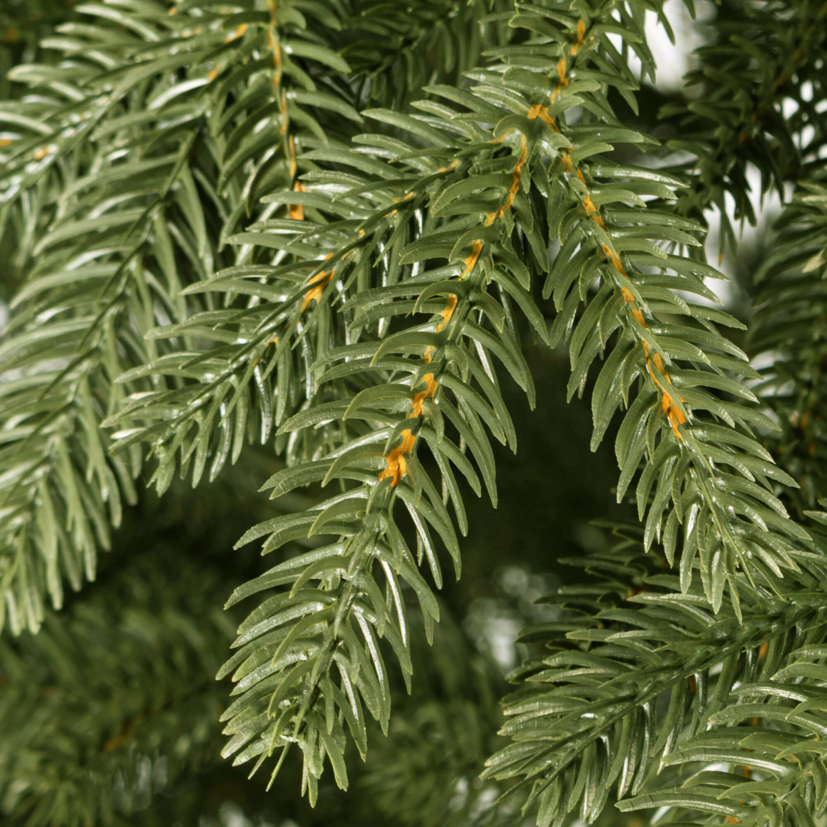 Kalėdinė eglutė Springos CT0154 220 cm