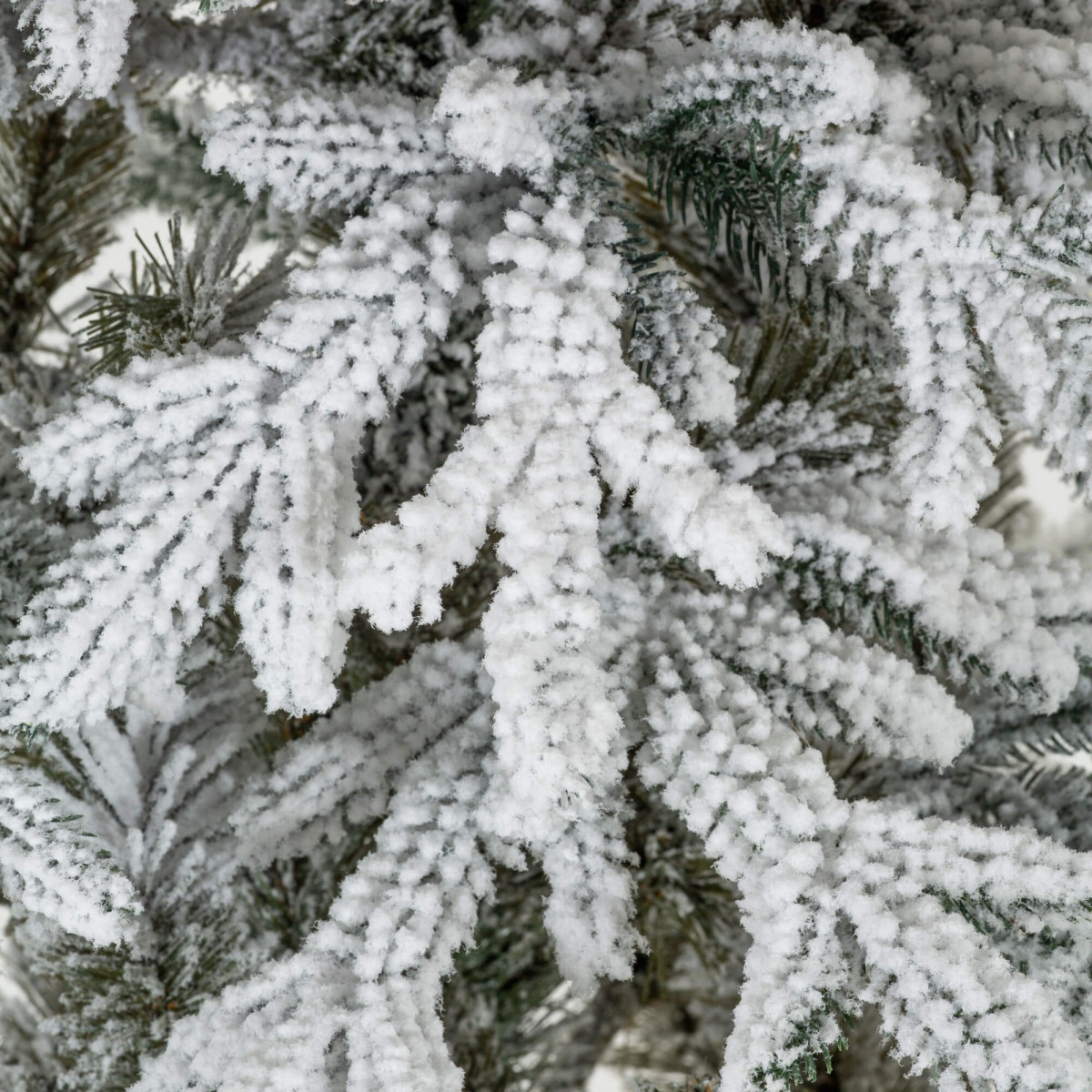 Dirbtinis eglė Springos CT0224, KALNŲ EGLE LUX 180 CM