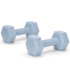 2x1kg šešiakampės hantelės fitneso pratimams, 2 vnt. komplektas, šviesiai mėlynos