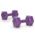2x2 kg šešiabriaunės hantelės fitneso pratimams, 2 vnt. komplektas, violetinės