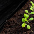 Agrotekstilė nuo piktžolių Springos AG0023, 50 g/m², 3,2 × 10 m
