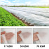 Žieminis agrotekstilas, baltas, Springos AG0011, 17g/m2, 10x3,2m