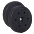 Svorio diskas Springos FA1022 2.5kg