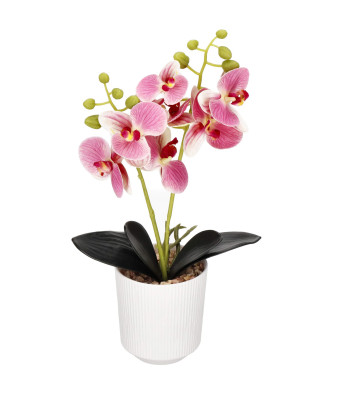 Dirbtinė orchidėja Springos HA7424