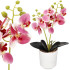 Dirbtinė orchidėja Springos HA7424