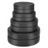 Hantelis Springos FA1067 20 kg
