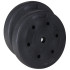 Svorio diskas 20 kg, Springos FA1018