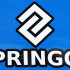 Futbolo vartai Springos SG0010, 240 x 170 cm