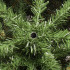 Dirbtinė kalėdinė eglutė Premium Royal Trees Sibiro eglė su mediniu stovu Springos CT0183, 220 cm