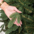Dirbtinė kalėdinė eglutė Premium Royal Trees Sibiro eglė su mediniu stovu Springos CT0183, 220 cm