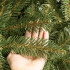 Dirbtinė kalėdinė eglutė Premium Royal Trees, Kaukazo eglė, su mediniu stovu Springos CT0185, 150 cm