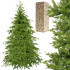 Kalėdinė eglutė Springos, natūralios eglės išvaizdos – CT0178, 220 cm