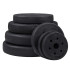 Svorio diskas Springos 10 kg, FA1020