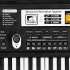Elektroninis pianinas vaikams su mikrofonu Springos KG0025