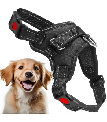 Reguliuojamos nespaudžiančios šuns petnešos, juodos, Springos PA0304, M dydis, 19–35 kg