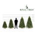 Dirbtinė eglė, Sibiro eglė PE Premium, Royal Trees, Springos CT0238, 240 cm