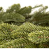 Eglės šakų vainikas Springos® CT0284 35 cm
