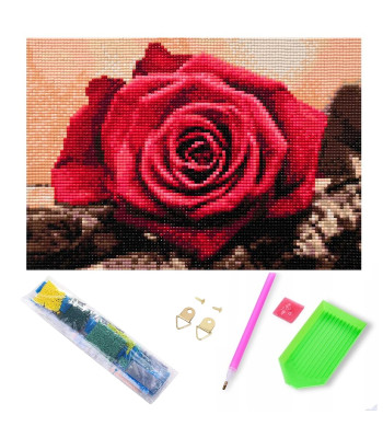 Deimantinis Siuvinėjimas su Rėmu 20 x 30 cm