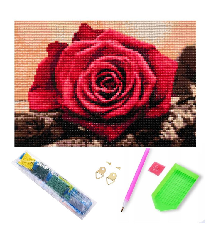 Deimantinis Siuvinėjimas su Rėmu 20 x 30 cm