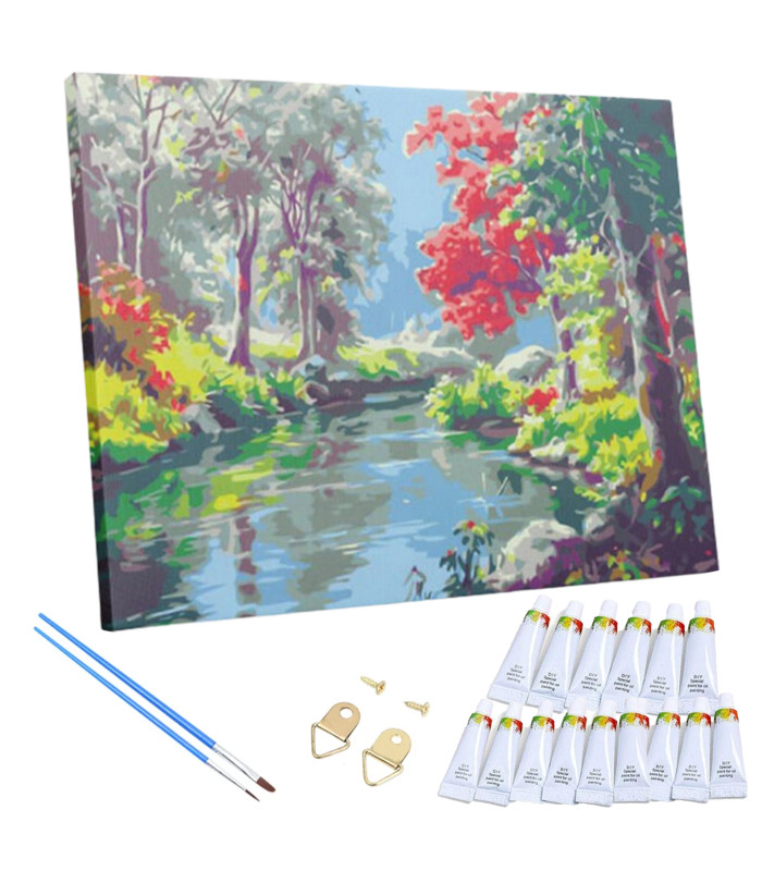 Dažymas Pagal Numerius su Rėmeliu 30 x 40 cm