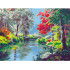 Dažymas Pagal Numerius su Rėmeliu 30 x 40 cm
