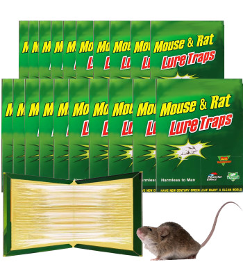 20x Pelės ir žiurkės gaudyklės rinkinys