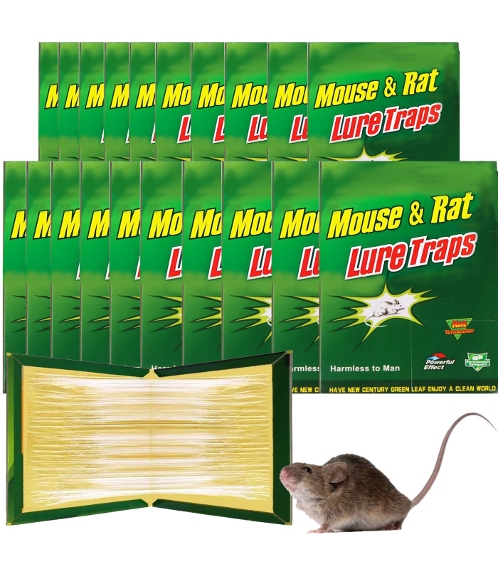 20x Pelės ir žiurkės gaudyklės rinkinys